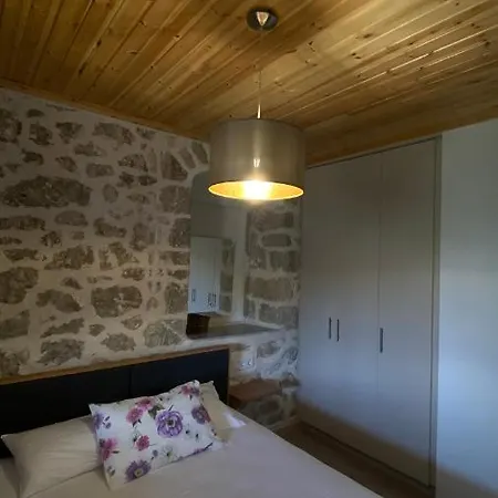 Apartment Six Blossoms !