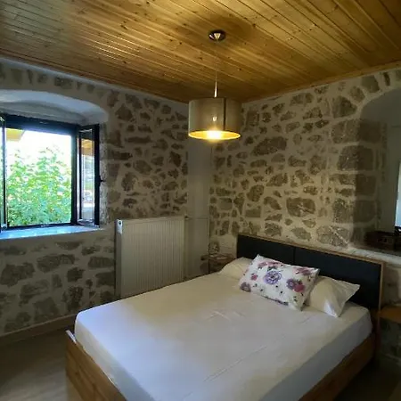 Apartment Six Blossoms !